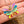 Butterfly Dreams Necklace