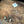 Boho Earthstone Necklace & Bracelet Set – 3 Options