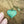 Antique Patina Heart Necklace