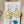 Gerber Earrings