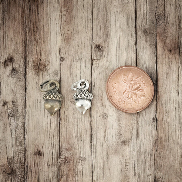 Charm Bar - Charm - Acorn