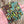 Bright Beaded Bracelet
