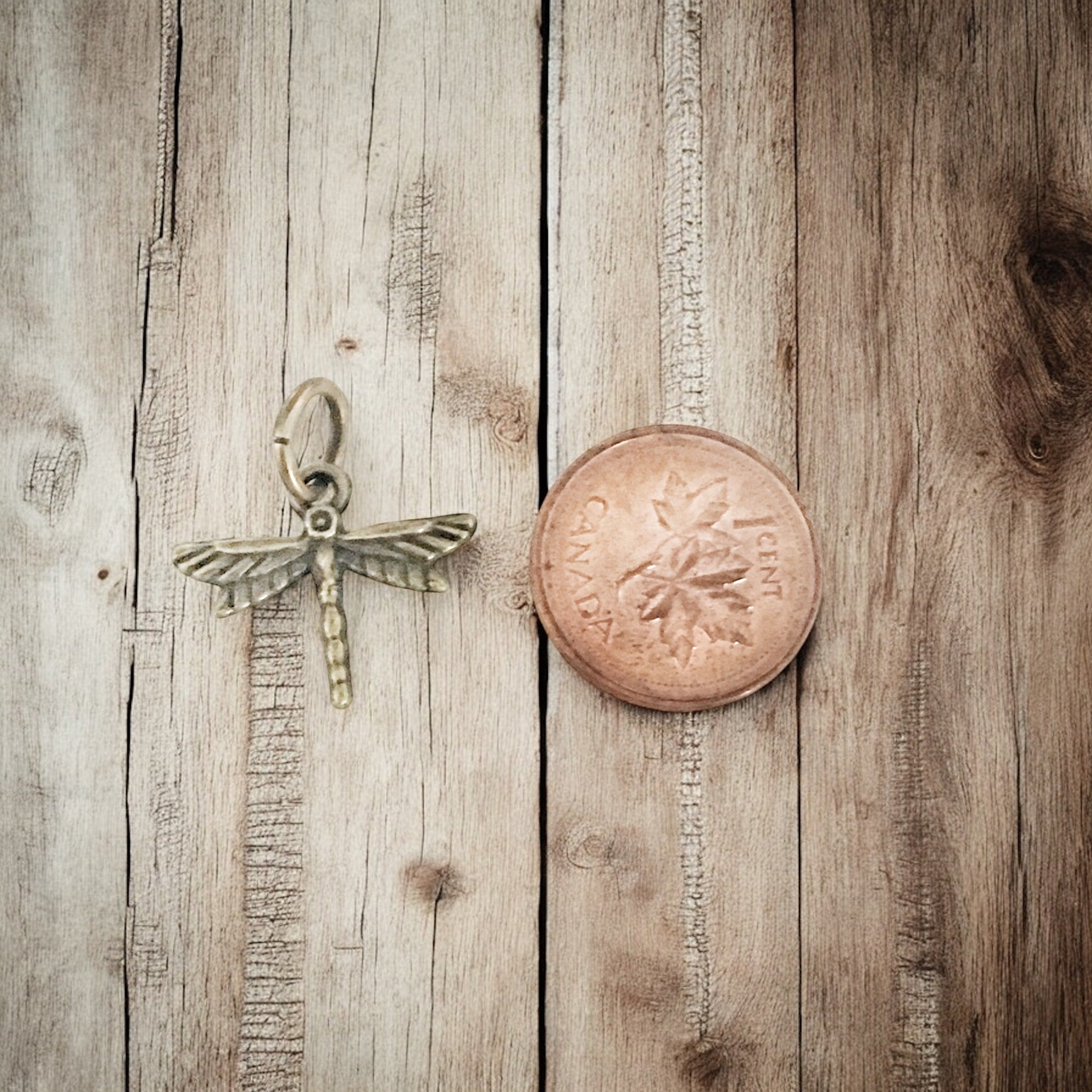 Small Dragonfly - Charm