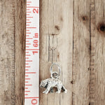 Bear Charms