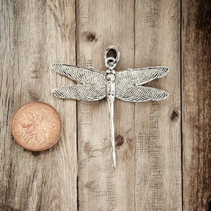 Large Dragonfly - Charm