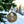 Detailed Christmas Ornaments