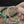Champagne Glow Memory Wire Bracelet