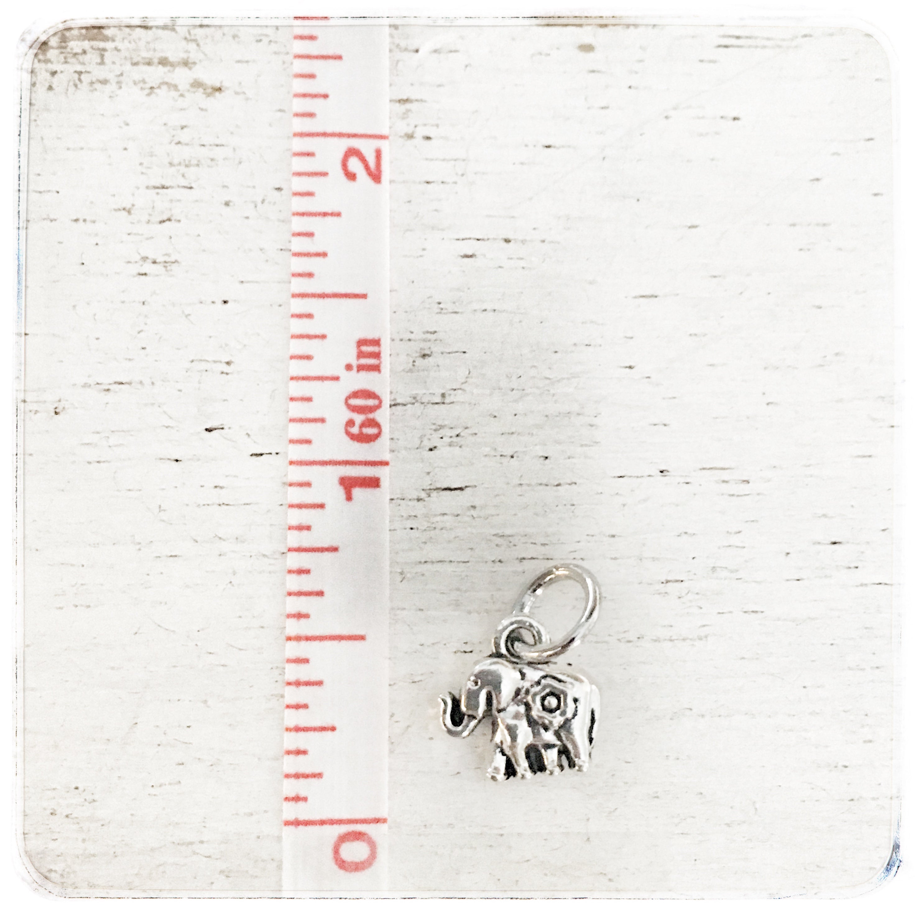Elephant - Charm