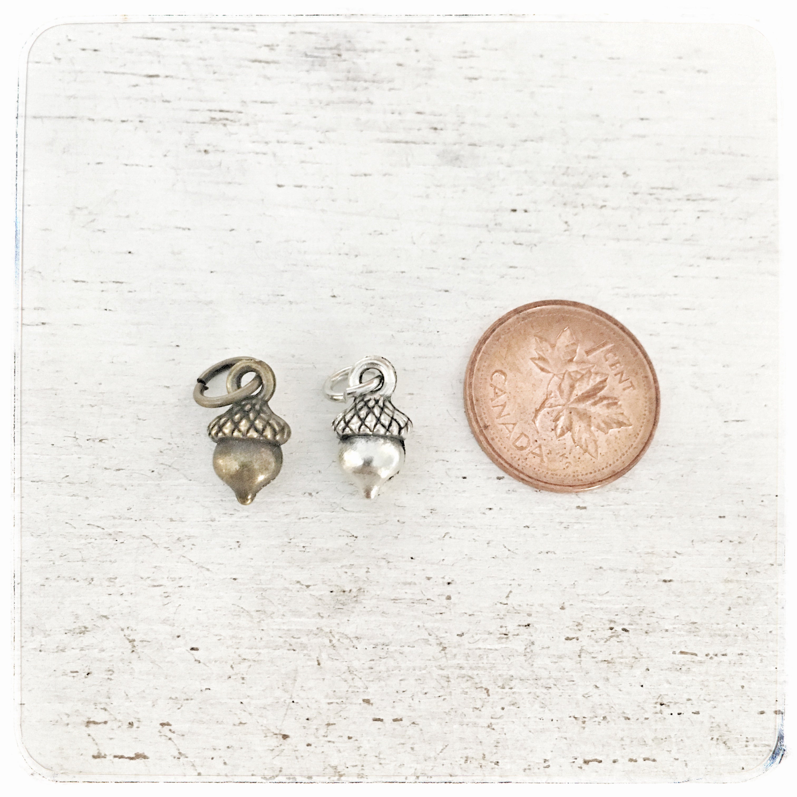 Small Acorn - Charm