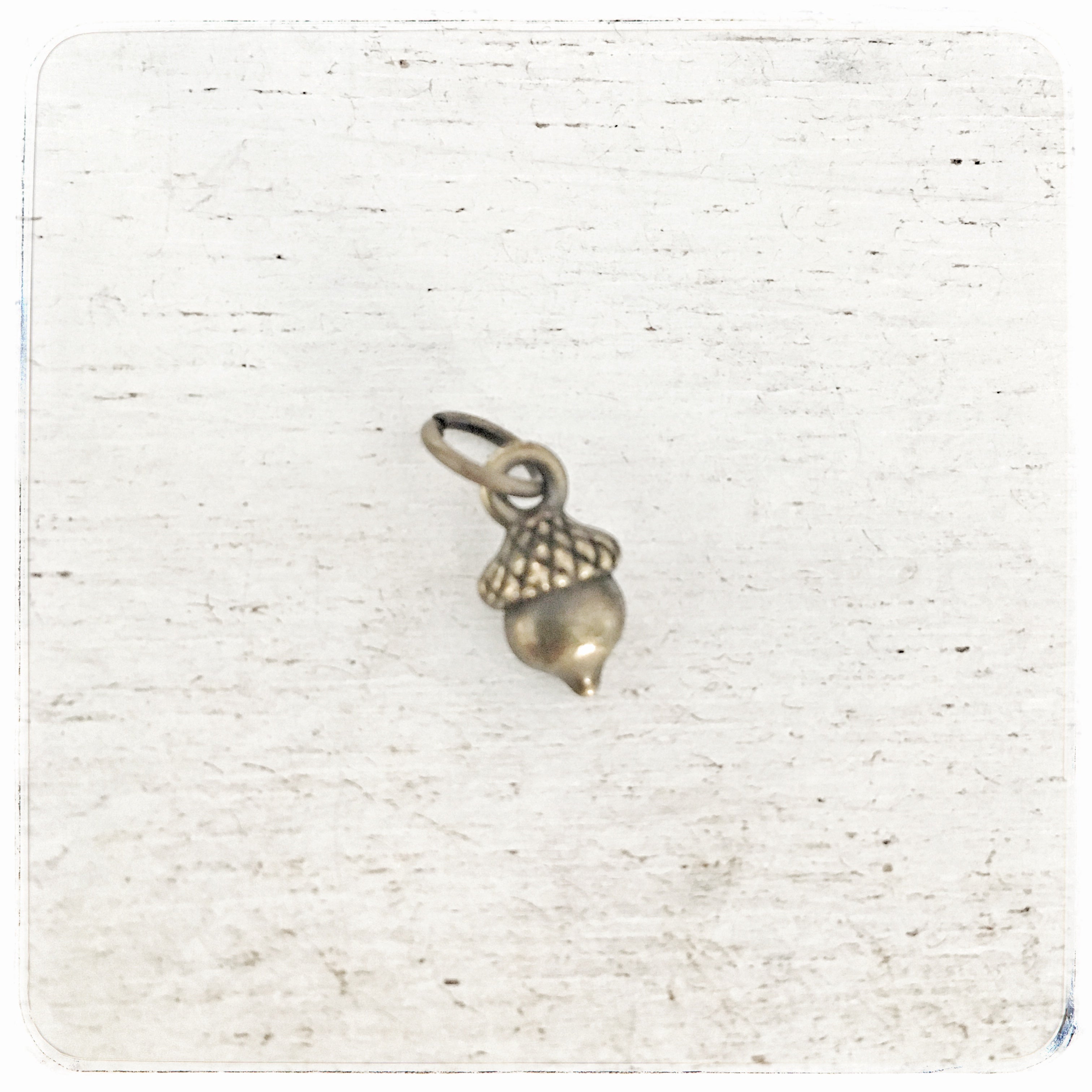 Small Acorn - Charm