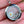 Glass Locket Love Daisy Necklace